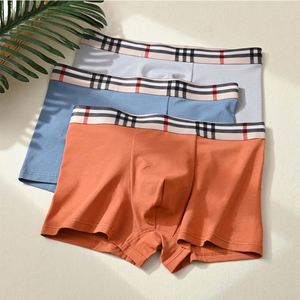 Nouvelles culottes pour hommes en pur coton, taille mi-haute, boxers à carreaux, couleur unie, respirantes et confortables, pour adolescents - Product Image 2