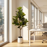 FLOWORLD Langlebiger Immergrüner Geigenblatt-Feigenbaum 1,83 m Hoch Künstlicher Metalltopf 183 cm H x 35 cm T Innen-/Außendekoration