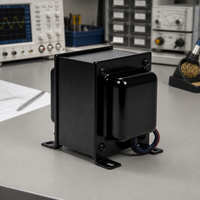 Transformateur de filament à faible puissance à haut rendement 50Hz/60Hz avec haute fréquence 20KHz pour des performances optimales