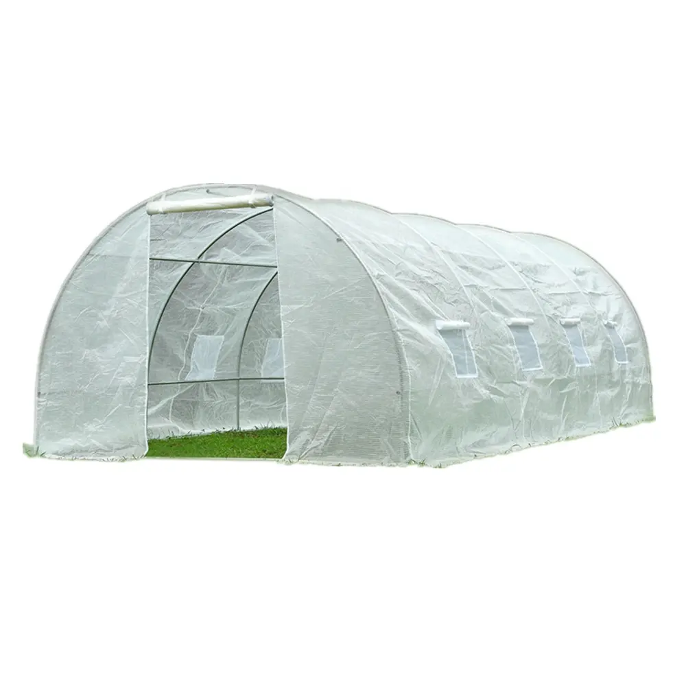 Couloir en Poly Tunnel, serre en promotion, 4x3m