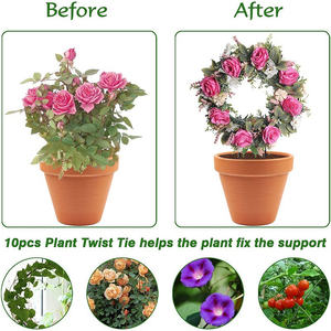 HY198 Planta redonda Enrejado Vine Climber Pole Planter Escalada Soporte de hierro Estaca de jardín - Product Image 3