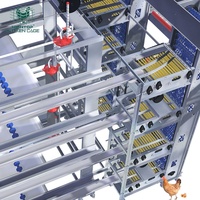 Cage à poules pondeuses automatique de type H pour élevage avicole avec système d'alimentation automatique