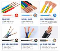 Kabel Listrik Inti Tembaga Berisolasi PVC Fleksibel 450/750V Harga Pabrik 1.5/2.5/4/6/10mm² untuk Penggunaan Bangunan & Rumah