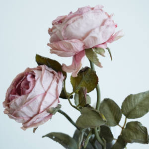 <span class=keywords><strong>Promie</strong></span> 花卉仿真制造商干烧五朵玫瑰家居装饰 YC1017 - Product Image 6