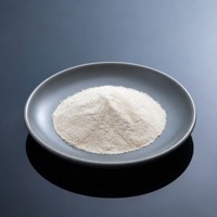 L-Thréonine de marque JIUCHONG, qualité alimentaire 98,5 %, poudre d'acide aminé CAS 72-19-5, 25 kg/sac, favorise une croissance saine pour l'alimentation des volailles et des porcs
