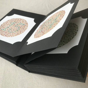 Tableau d'examen d'optométrie, livre de test de vision couleur à 38 plaques pour les soins oculaires et l'évaluation de l'acuité visuelle - Product Image 1