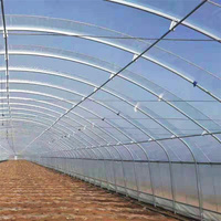 Serre pour pommes de terre, tunnel pour fraises, serre pour tomates, structure en acier avec couverture en film, origine Chine, marque Zhuotai