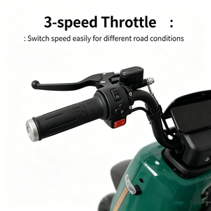 Bicicleta Eléctrica con Suspensión Hidráulica Delantera y Trasera, <span class=keywords><strong>Alarma</strong></span> Inteligente con Control Remoto, 3 Velocidades, Batería de Plomo-Ácido - Product Image 2