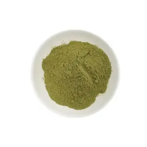 Freeze dried Barley Wheat Grass Powder Fresh Pure Organic Hordeum vulgare/Barley Grass Powder