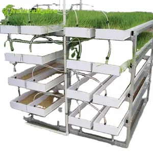 Hydroponic Irrigation Systems Barley Fodder Container Seed Growing Systems