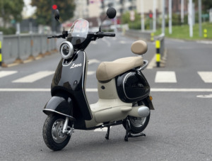 Vélo à énergie électrique Vélo à moteur pour adultes <span class=keywords><strong>Moto</strong></span> Vente en gros transfrontalière de véhicules électriques et de motos - Product Image 5
