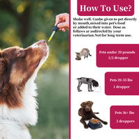 Vente flash : Probiotiques et enzymes digestives, vitamines pour animaux de compagnie pour la santé intestinale - Complément probiotique liquide pour chiens