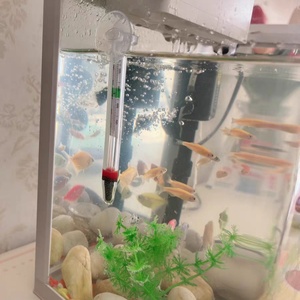 Termômetro de Vidro Embutido à Prova d'Água de Alta Precisão para Aquário, Embalado para Decoração de Tanque de Peixes - Product Image 6