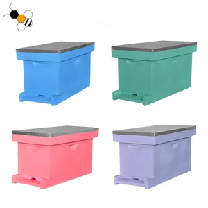 2023 Beekeeping supplier multi-color queen bee box painted 5 frame nuc box