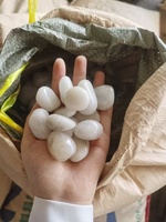 Batu Kerikil Alami Hitam Poles Tinggi untuk Dekorasi Taman Luar Ruangan Ramah Lingkungan dan Tahan Lama