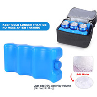 Glace dure en forme de blocs de glace réutilisables, pour le Camping, 1 pièce, refroidisseur Cola, produits uniques