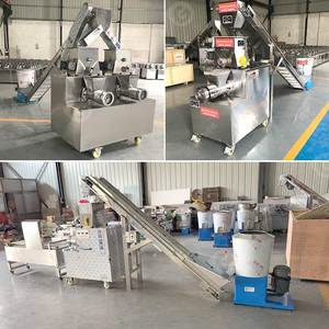 Machine Commerciale Itley pour la Fabrication de Pâtes (Macaroni, Spaghetti, Coquilles) de 600 kg/h, Bronze, Fabriquée en Chine - Product Image 2