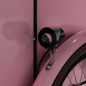 Tricycle électrique 10 pouces pour <span class=keywords><strong>famille</strong></span>, 3 roues, bicyclette avec siège coussin - Product Image 4