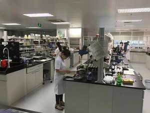 Biologische 100% pure natuurlijke koudgeperste <span class=keywords><strong>avocado</strong></span>-olie groothandelsprijs huid haar koken massage geraffineerde biologische <span class=keywords><strong>avocado</strong></span>-olie - Product Image 3