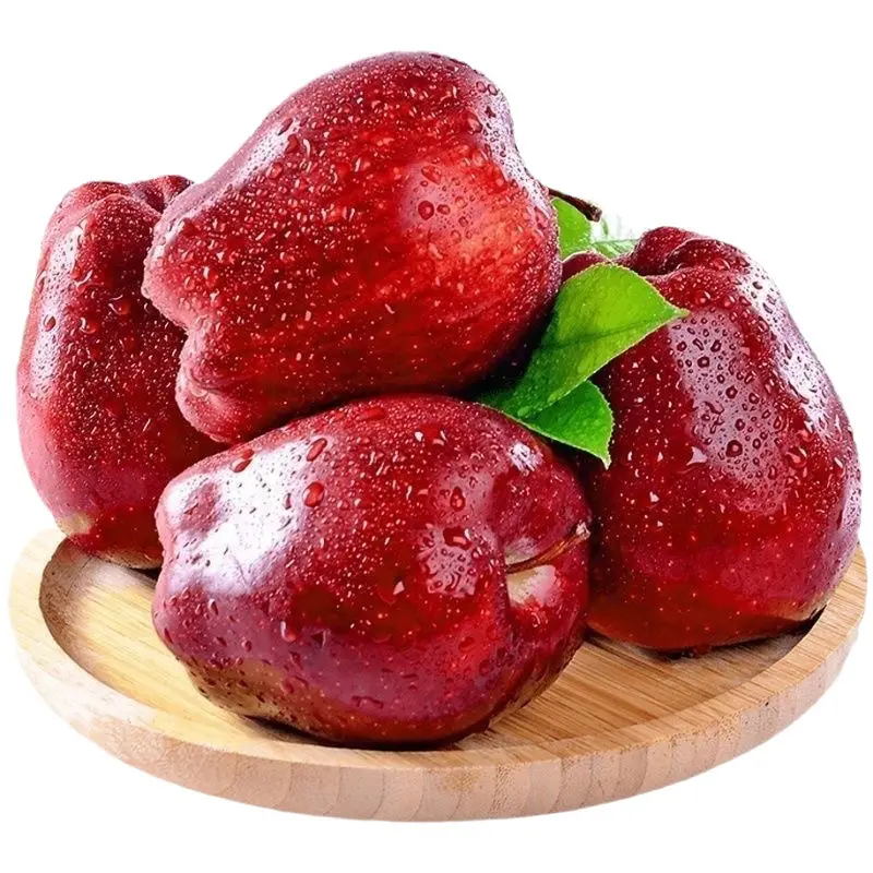 Mela di alta qualità prezzo di esportazione fornitura di fabbrica cina mela fresca fresca mela rossa