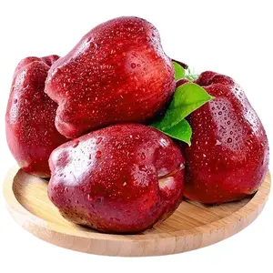 High Quality Apple Export Price Factory Supply China Fresh Apple Fresh Red Apple