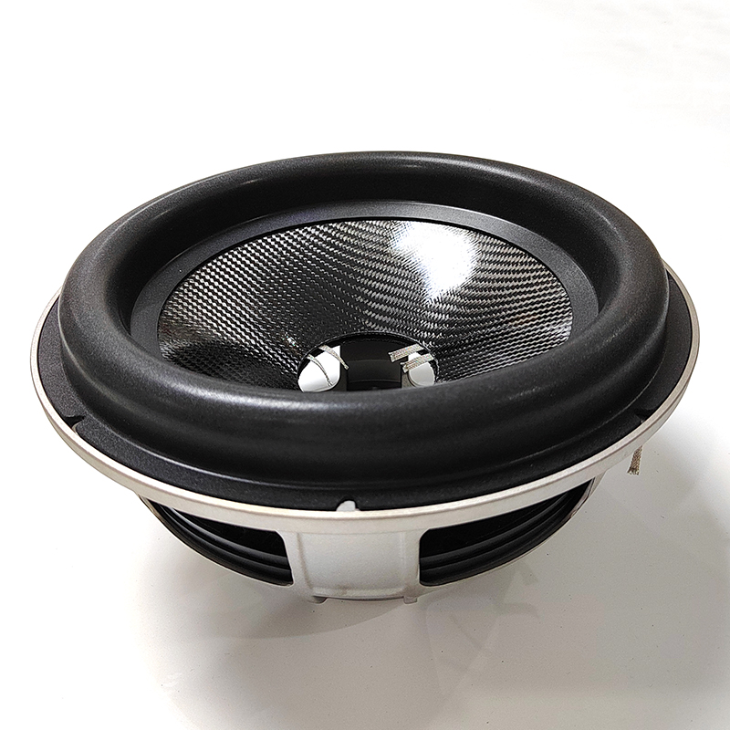 12 subwoofer cone