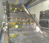 Mangosap Ananassap Productielijn/Vruchtensap Verwerkingslijn
