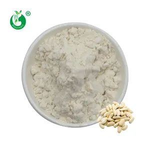 Top Quality Natural White Kidney Bean Extract Powder