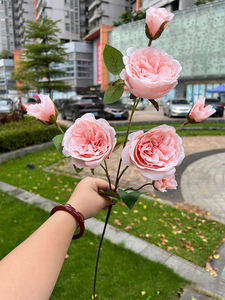 인공 오스틴 장미 줄기 실크 오스틴 장미 꽃 7 헤드 가짜 꽃 꽃다발 줄기 홈 웨딩 장식 - Product Image 2