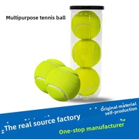 Kit d'entraînement personnalisé avec cordes haute élasticité et durables, vessie en caoutchouc pressurisée pour enfants et adultes, ensemble de 3 pièces avec plateaux de base et balles de tennis