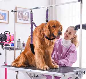 Laisse flexible et réglable en PVC/Nylon pour chat et chien, boucle de toilettage pour extension de bras de table avec <span class=keywords><strong>pince</strong></span>, boucle d'extension, attache de bain - Product Image 4