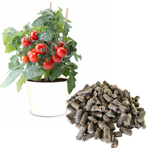 Engrais organique Guano 1,5 kg pour légumes et arbres fruitiers - Product Image 3