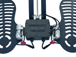 Prix d'usine direct Eswing chariot de scooter électrique pliant chariot électrique de golf de haute qualité avec moteur 1600W - Product Image 6