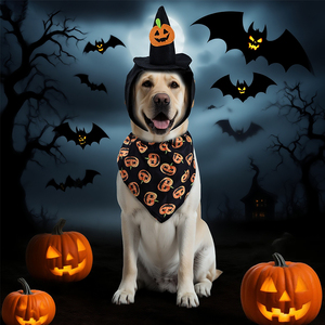 Conjunto de Lujo de Sombrero y Pañuelo de Poliéster para Mascotas, Estilo Sólido, Accesorios de Disfraz de Halloween para Gatos y Perros para el Verano - Product Image 3