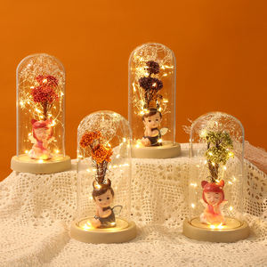 母亲情节情人节圣诞礼物干花玻璃圆顶带底座带灯 - Product Image 1