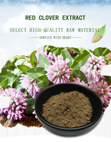 Bubuk Ekstrak Bunga Red Clover Kelas Makanan dalam Kemasan Drum/Botol