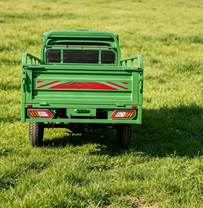Camionnette à quatre roues EEC, fabrication en usine, nouvelle <span class=keywords><strong>mini</strong></span>-camionnette électrique robuste à 2 places avec moteur de 3 kW - Product Image 5