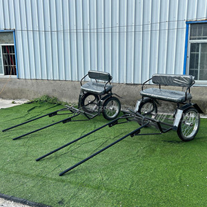 Carroza Pequeña para Caballos para Recorridos Turísticos en Parques y Zonas Escénicas, Carroza Especial para Uso Turístico - Product Image 2