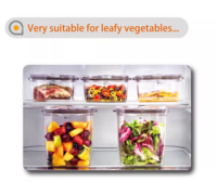 Groothandel BPA-vrije plastic vacuüm luchtdichte vaatwasserbestendige moderne vierkante opbergcontainer stapelbare bus voor gedroogd fruit