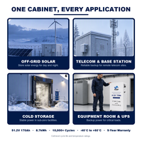 Vente en gros usine : Cellule brute à ions sodium 48V 51.2V 170Ah, haute sécurité, durée de vie 10000 cycles, pour pack de batterie de stockage d'énergie DIY