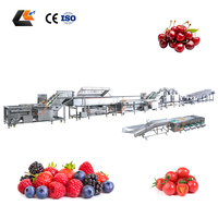 Kersen-tomaat vortex fruitwasmachine fruit sorteerder abrikozen sorteermachine bubbelwasser groente- en fruitreinigingslijn