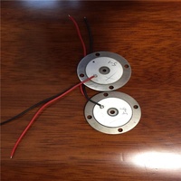 Sensor Piezo Vibrator Piezoelektrik Keramik Pzt 4 Harga Terbaik