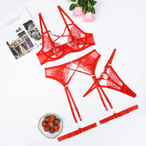 ODM & OEM vente en gros de sous-vêtements brodés transparents <span class=keywords><strong>fantaisie</strong></span> collants chauds érotiques sexy Bondage noir lingerie rouge pour femmes - Product Image 4