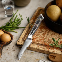 Nieuw ontwerp 3,5 inch professioneel Damascus staal keuken fruit- en schilmes met koperen hars handvat