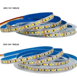 Tira de luz de retroiluminación LED direccionable de iluminación inteligente DC 12V 24V a AC 110V 220V 2835 SMD 2835 tira de luz Led flexible