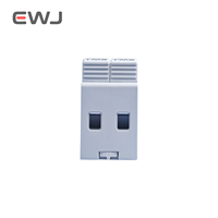 CE T2 AC SPD 2P 20KA ~ 40KA AC 275v 385V OEM maison parafoudre Protection parafoudre dispositif de protection parafoudre basse tension