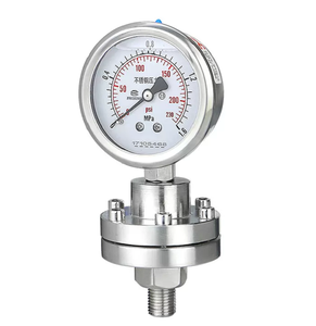 ยี่ห้อใหม่ YTP-100 เกจวัดไดอะแฟรมดิจิตอลสแตนเลส 316L 0-60 ทนต่อแรงกระแทก - Product Image 2