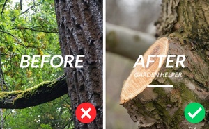 <strong>Tree</strong> <strong>Pruner</strong> Pole Walk Behind Forestry Brush Cutter Trimmer For Garden Yard Hand Saw <strong>Tree</strong> Pruning Garden Pruning Saw - Product Image 5