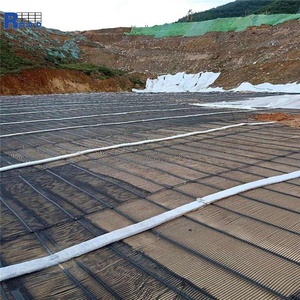 Uniaxial nhựa <span class=keywords><strong>geogrid</strong></span> giá dốc bảo vệ dự án retaing tường tăng cường - Product Image 4