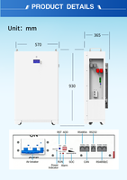 Batterie de stockage d'énergie LiFePO4 HAIYAO CE IEC62619 51.2V 280/300/314Ah, communication CAN/RS485, montage mural, alimentation domestique